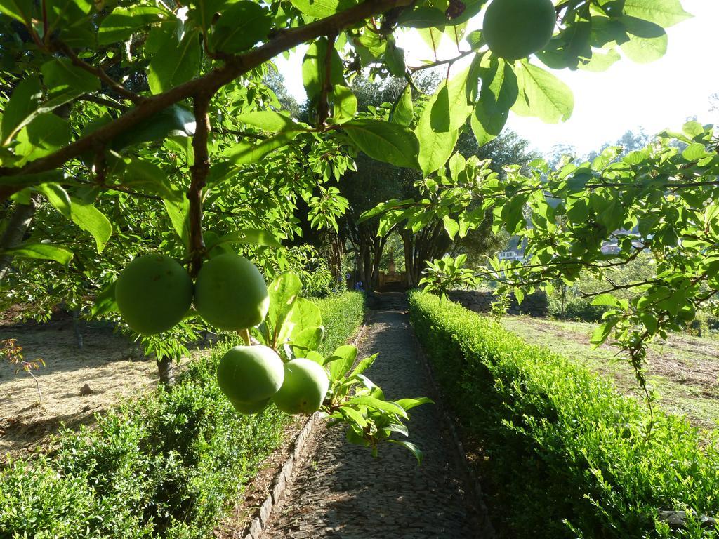 Bio Hotel - Hotel Quinta Da Serra Câmara de Lobos Exteriör bild
