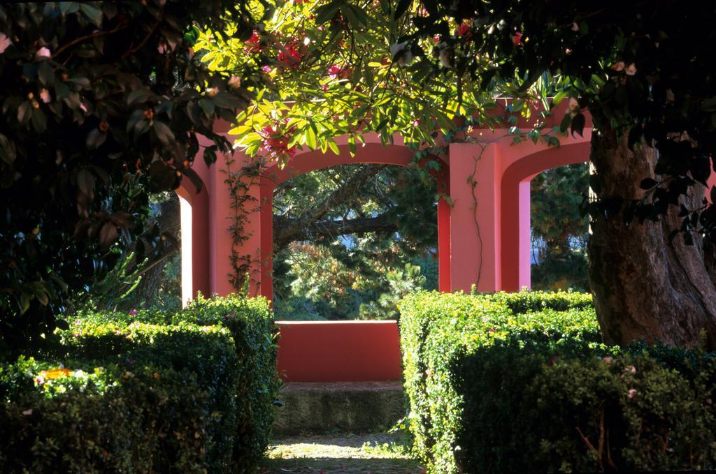 Bio Hotel - Hotel Quinta Da Serra Câmara de Lobos Exteriör bild