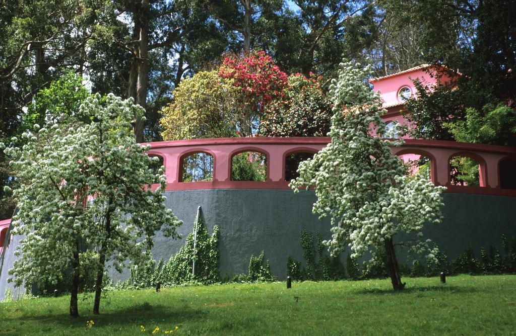 Bio Hotel - Hotel Quinta Da Serra Câmara de Lobos Exteriör bild